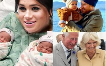 Breaking News: The British royal family announces joyful news as the wife of Prince Harry gives birth to twins, adding two more heirs to the royal lineage. King Charles rejoices as he names them…