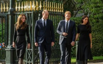 Inside Prince Harry’s awkward first attempt at reconciliation with Prince William and Kate Middleton