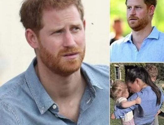 Prince Harry was left ‘furious’ after King Charles’s ‘slap in the face,’ claims royal expert