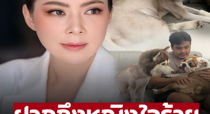 ‘บุ๋ม ปนัดดา’ โพสต์ดึงสติถึงเจ้าของเก่าน้องหมา หลังสังคมรุมสาปปมกรณีเอาน้ำร้อนราด