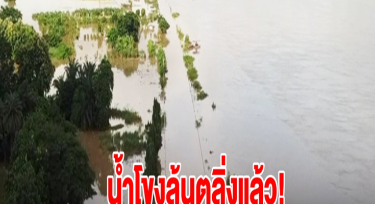 น้ำโขงหนองคายล้นตลิ่งแล้ว ชาวบ้านรีบขนของขึ้นที่สูง เตือน 8 จังหวัด เฝ้าระวัง