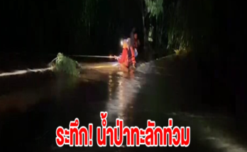 ระทึก! น้ำป่าทะลักท่วม อ.วังเหนือ ชาวบ้านหนีไม่ทัน ติดอยู่บนต้นไม้